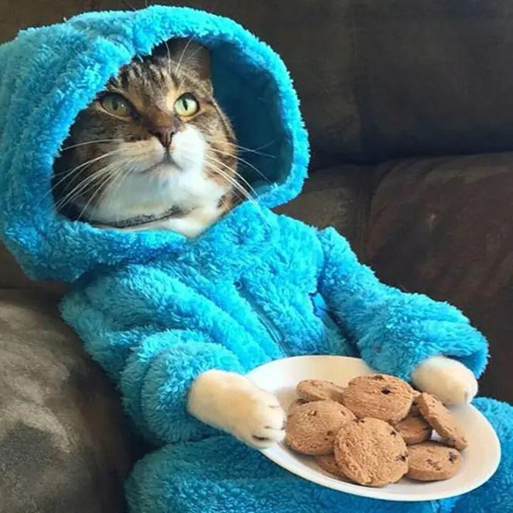 cookiez (feat. duhhnilo) (Explicit)