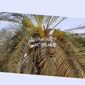 ดาวน์โหลดและฟังเพลง Unshackled Suchlike พร้อมเนื้อเพลงจาก Trea Orve
