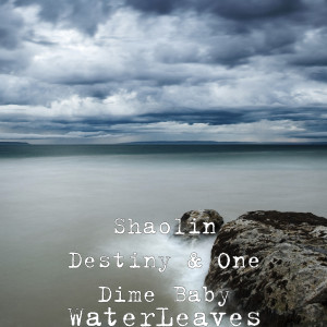 Listen to Opps! song with lyrics from Shaolin Destiny