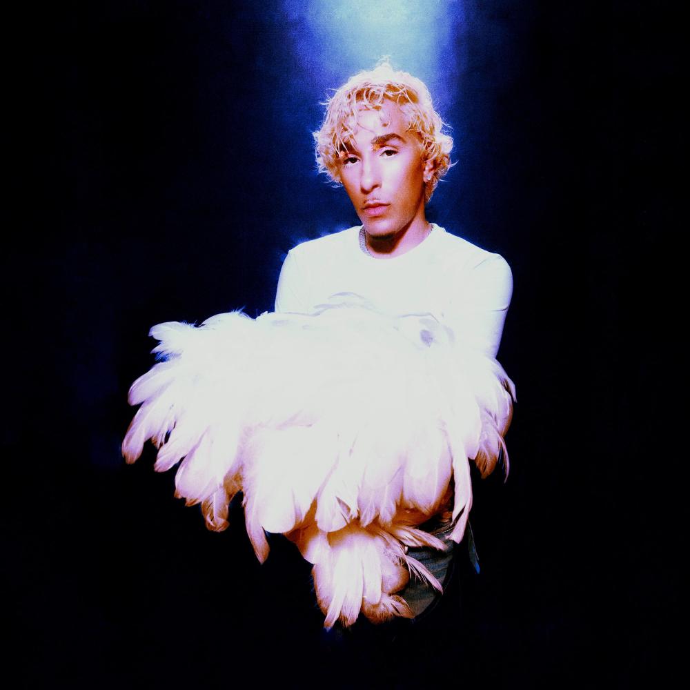 DREAM (Explicit)