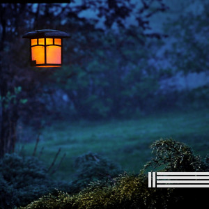 Dengarkan Evening Insects lagu dari Night Sounds dengan lirik