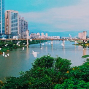 Album 心动仙游组歌 from 曾彭飚