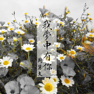 Listen to 我夢中有你 song with lyrics from 周慧文