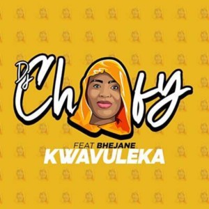 Listen to Kwavuleka song with lyrics from DJ Chofy