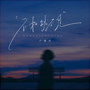 Album 不如就不见 from 卢润泽