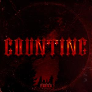 Album COUNTING (feat. prodbyadr & IDK) from prodbyalecs