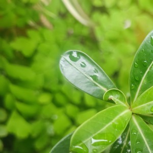 ดาวน์โหลดและฟังเพลง Pandangan pertama พร้อมเนื้อเพลงจาก Rendy