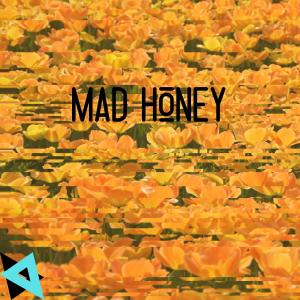 ดาวน์โหลดและฟังเพลง Mad Honey (Instrumental) พร้อมเนื้อเพลงจาก Arcadian Sound