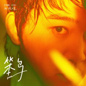 ดาวน์โหลดและฟังเพลง Fool พร้อมเนื้อเพลงจาก 刘凤瑶