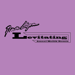 ดาวน์โหลดและฟังเพลง Levitating (feat. Prakriti Kakar & Sukriti Kakar) (Amaal Mallik Remix) พร้อมเนื้อเพลงจาก Dua Lipa