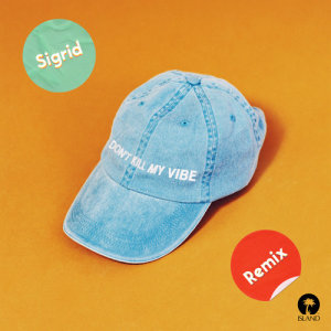 ดาวน์โหลดและฟังเพลง Don't Kill My Vibe (Gryffin Remix) พร้อมเนื้อเพลงจาก Sigrid