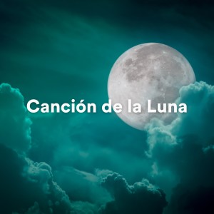 Listen to Refugio de Estrellas (Musica Relajante para Meditación y Sueño) song with lyrics from Descansa