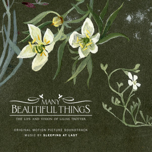 Sleeping At Last的專輯Many Beautiful Things (Original Motion Picture Soundtrack)