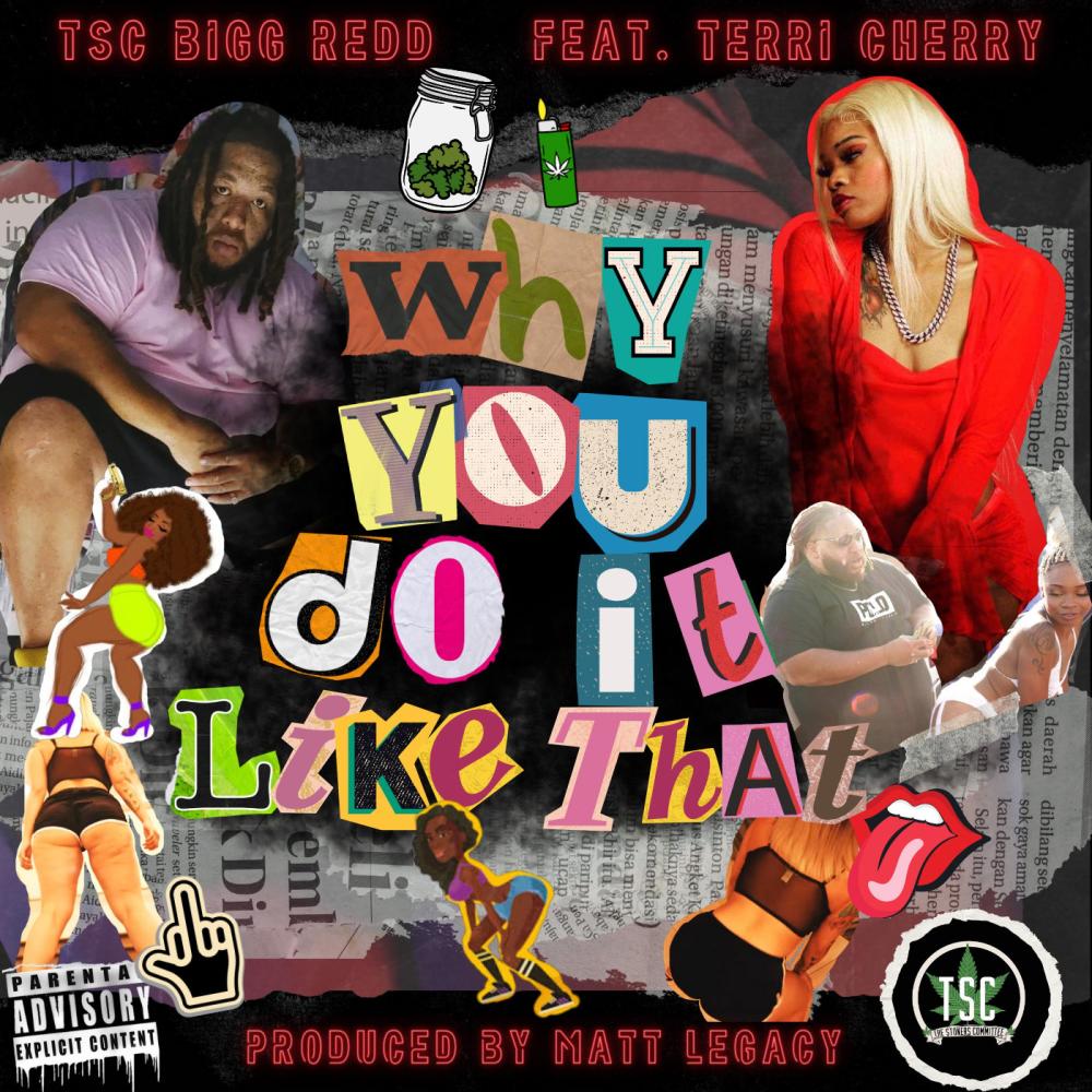 Why You Do It Like That (feat. Terri Cherry) (Explicit)