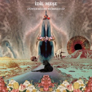 Listen to Dünya Halim (Remix) song with lyrics from Idil Mese