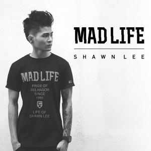 Shawn Lee的专辑Madlife