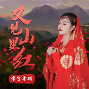 Album 又见山里红 from 李宁卓玛