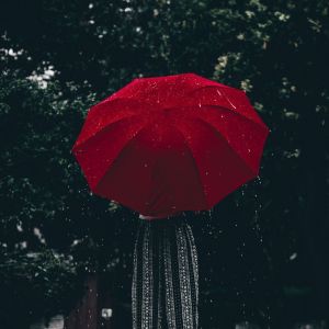 Dengarkan Rainy Traffic lagu dari Gentle Rain Makers dengan lirik