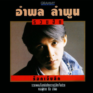 ดาวน์โหลดและฟังเพลง แผลในใจ พร้อมเนื้อเพลงจาก หนุ่ย อำพล