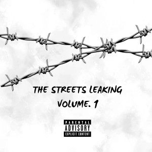 收聽Shadow Lane Streets的Sleep in the T (Explicit)歌詞歌曲