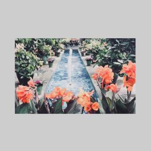 Album Lush from Steezy Prime