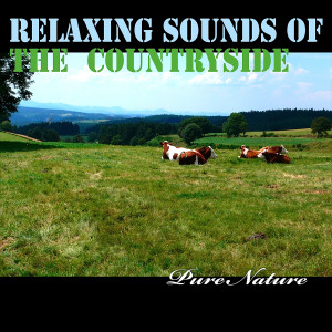 Pure Nature的专辑Relaxing Sounds of the Countryside