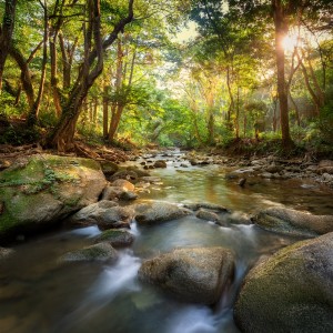 ดาวน์โหลดและฟังเพลง Rhythms for Calm Energy พร้อมเนื้อเพลงจาก Calm Lofi Sounds