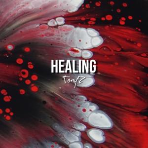 TonyZ的專輯Healing