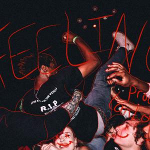 Album FEELING (Explicit) from Rybundy