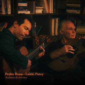Pedro Rosa的專輯Acalanto de tico-tico