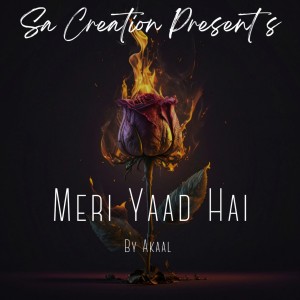 Album Meri Yaad Hai from Akaal