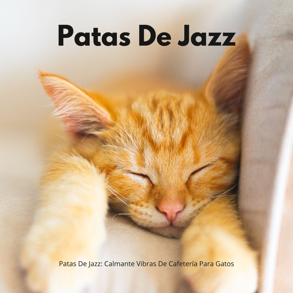 Melodías De Jazz Para Felino Zen