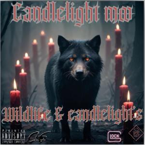 收聽Candlelight Moo的Cut The Beat On (Explicit)歌詞歌曲