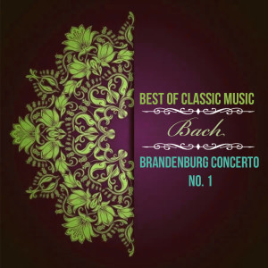 Karel Brazda的专辑Best of Classic Music, Bach - Brandenburg Concerto No. 1