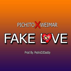 Listen to Fake Love song with lyrics from Pichito