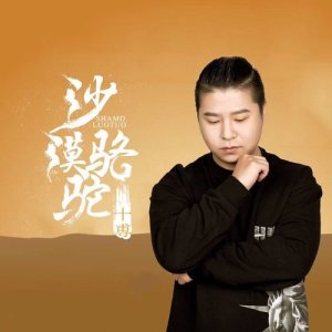收听十尃的沙漠骆驼歌词歌曲