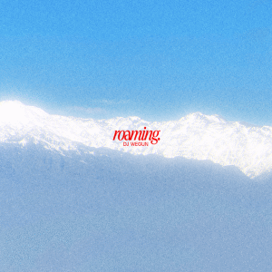 อัลบัม roaming. ศิลปิน DJ Wegun