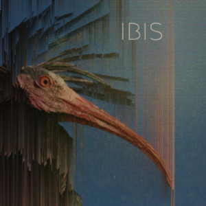 Dengarkan Ibis lagu dari Stolfo Fent dengan lirik