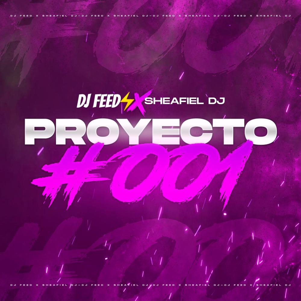 Proyecto #001