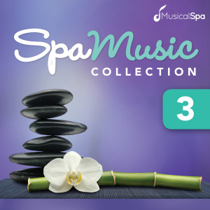 ดาวน์โหลดและฟังเพลง Ocean Meditation พร้อมเนื้อเพลงจาก Musical Spa
