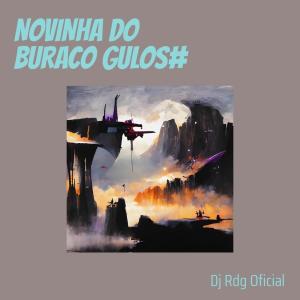 Listen to Novinha do Buraco Gulos# (Acoustic|Explicit) song with lyrics from DJ RDG OFICIAL