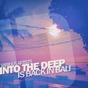 Various Artists的專輯Into the Deep - Is Back in Bali