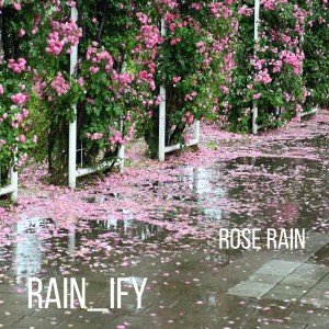 ดาวน์โหลดและฟังเพลง Rose Rain พร้อมเนื้อเพลงจาก RAIN_IFY