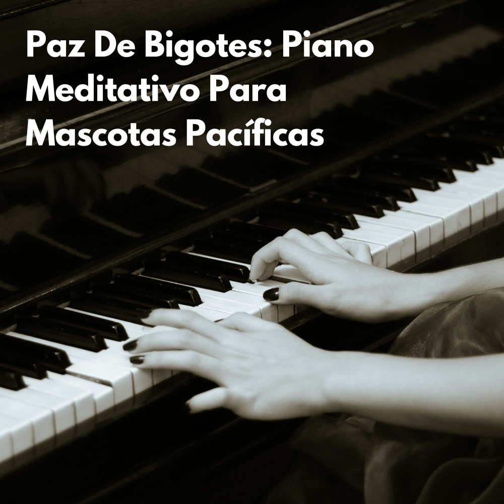 Teclas Gatunas