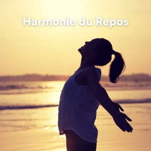 Album Harmonie du Repos from Machine à Dormir