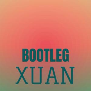 Various Artists的专辑Bootleg Xuan