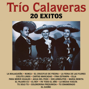 Dengarkan lagu Nunca nyanyian Trio Calaveras dengan lirik