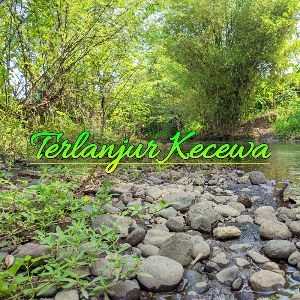 Terlanjur Kecewa