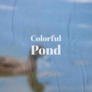 Listen to Colorful Pond song with lyrics from Viron Foix