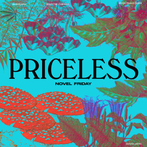 Album Priceless 无价 from Novel Friday